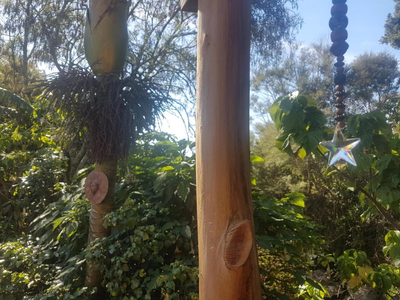 טקאקה Chalet Karaka מראה חיצוני תמונה