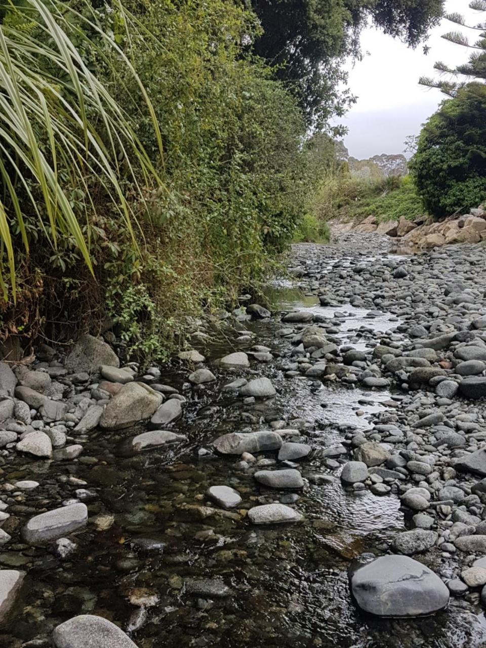 טקאקה Chalet Karaka מראה חיצוני תמונה